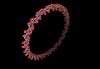 DNA. Cirkul�rt plasmid, Deoxyribo Nucleic Acid, DNA molekyle model      genetik, gener, arvemateriale, genetisk, GMO, videnskab, gensplejsning