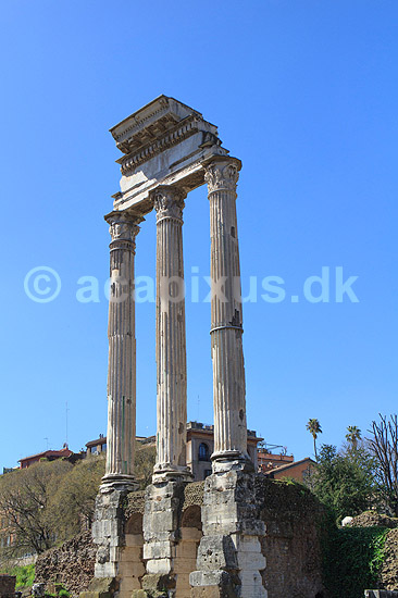 Corinthiske s�jler. Tempio dei Dioscuri - Dioscuri templet; ; Forum Romanum / Rom; Italien; ; Sev�rdigheder; romerriget, turistsev�rdigheder, templer