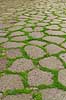 Foro di Traiano. Gammel brostensbel�gning i gade i Det Trajanske Marked, Foro di Traiano, Mercati di Traiano, Trajans Markets i Rom  Rom Italien  Sev�rdigheder romerriget, turistsev�rdigheder