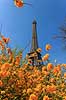 Eiffel T�rnet. Eiffel T�rnet bag blomster  Tour Eiffel / Paris Frankrig  Sev�rdigheder Sev�rdigheder, st�l, metal, t�rne