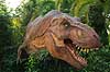 Universal Islands of Adventure. Dinosaurus figur af Tyrannosaurus rex i Camp Jurassic -  i Universal Theme Park i Orlando Tyrannosaurus rex Orlando / Florida USA   Forlystelsespark, forlystelsesparker, turisme