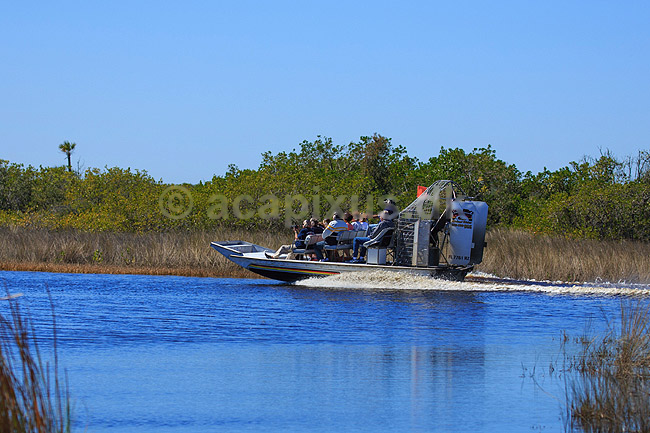 Air boat tur. Air boat ride i Everglades p� udkig efter aligatorer og andre dyr; ; Corey Billie's Airboat Rides / Florida; USA; ; ; Turter, turisme