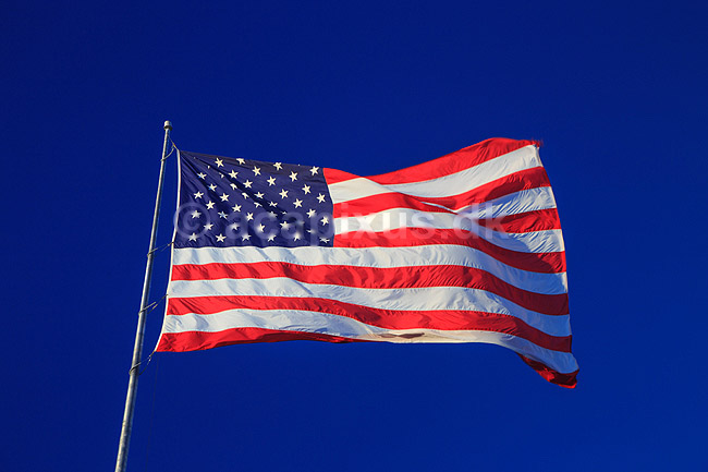 Stars and Stripes. Det amerikanske flag Stars  and  Stripes; ; Fort Myers Beach / Estero Island / Florida; USA; ; ; National symboler, nationalitet, stjerner, striber, flagstang, flagring