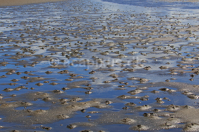 R�m�. Sandorm p� vaderne ved S�nderstrand p� R�m� - en af Danmarks bredeste sandstrande; ; R�m�; Danmark; ; ; 