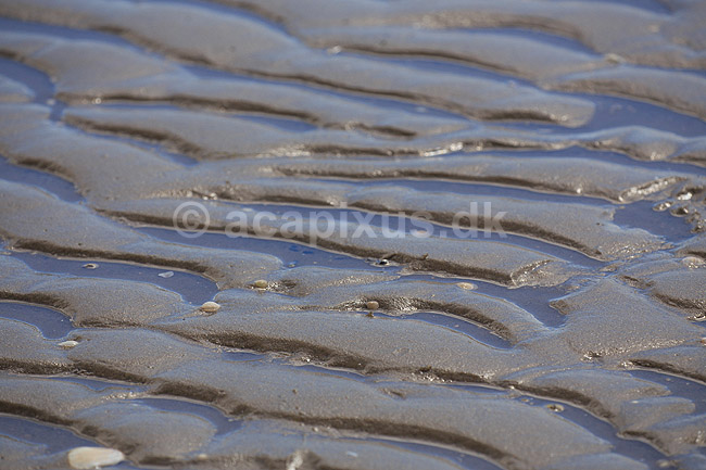 R�m�. Sandkrusninger eller sandm�nstre i sandet i vaden ved S�nderstrand / vadehavet p� R�m�; ; R�m�; Danmark; ; ; M�nstre