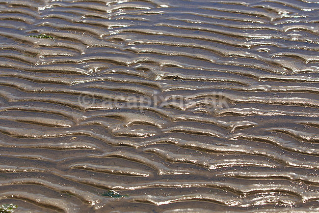 R�m�. Sandkrusninger eller sandm�nstre i sandet i vaden ved S�nderstrand / vadehavet p� R�m�; ; R�m�; Danmark; ; ; M�nstre