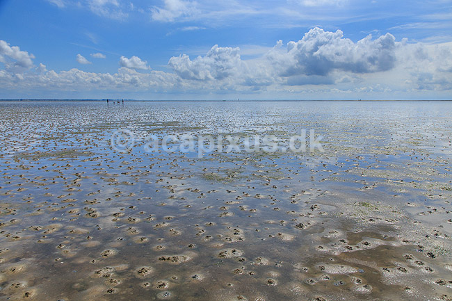 R�m�. Sandorm p� vaderne ved S�nderstrand p� R�m� - en af Danmarks bredeste sandstrande; ; R�m�; Danmark; ; ; 