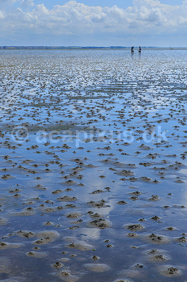 R�m�. Sandorm p� vaderne ved S�nderstrand p� R�m� - en af Danmarks bredeste sandstrande; ; R�m�; Danmark; ; ; 