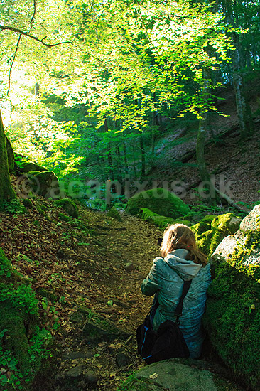 S�der�sen. Naturfotograf fanger lyset i b�geblade p� S�der�sen; ; Nationalpark S�der�sen; Sverige; ; Landskaber; Fotografering