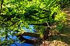 S�der�sen. B�getr�er spejler sig i Kv�rkeb�cken i bunden af dalen p� S�der�sen  Nationalpark S�der�sen Sverige  Landskaber 