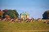 D�dyr. D�dyr foran Erimitageslottet i Dyrehaven Dama dama J�gersborg Dyrehave / Sj�lland   pattedyr Hjorte, Cervidae, Parrett�ede hovdyr, Artiodactyla, hjort, d�vildt, gevir, fuldskuffel, dr�vtygger, brunst, fallow deer, d�hjort, dovhjort, Dyrehaven