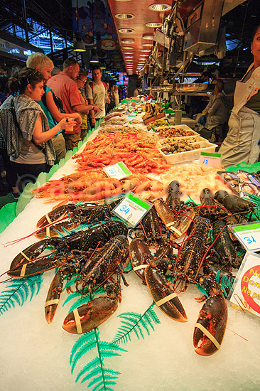 Hummere. Hummer og andre skaldyr udstillet p� Mercado de La Boqueria i Barcelona; ; Mercado de La Boqueria / Barcelona; Spanien; ; ; Marked, markeder, r�varer, mad, madlavning, kogekunst