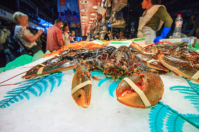 Hummere. Hummer og andre skaldyr udstillet p� Mercado de La Boqueria i Barcelona; ; Mercado de La Boqueria / Barcelona; Spanien; ; ; Marked, markeder, r�varer, mad, madlavning, kogekunst