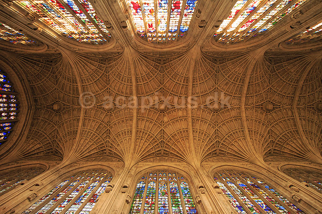 King's College Chapel. Loftet i King's College Chapel; ; King's College, University of Cambridge / Cambridge; England; ; ; Sev�rdigheder, universiteter, uddannelsesinstitution
