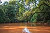 Regnskov. En biflod til Iguazu floden l�ber gennem regnskoven n�r Yacutinga Lodge   Yacutinga Lodge Argentina Sydamerika  