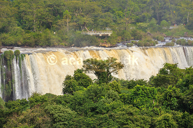 Iguazu vandfaldene. Iguazu vandfald p� den Argentinske side set fra den Brasilianske side af vandfaldene; ; Iguazu; Brasilien; Sydamerika; ; Vandfald, The Iguazu Falls, Iguaz� Falls, Iguassu Falls, Igua�u Falls, Cataratas del Iguaz�, Cataratas do Igua�u 