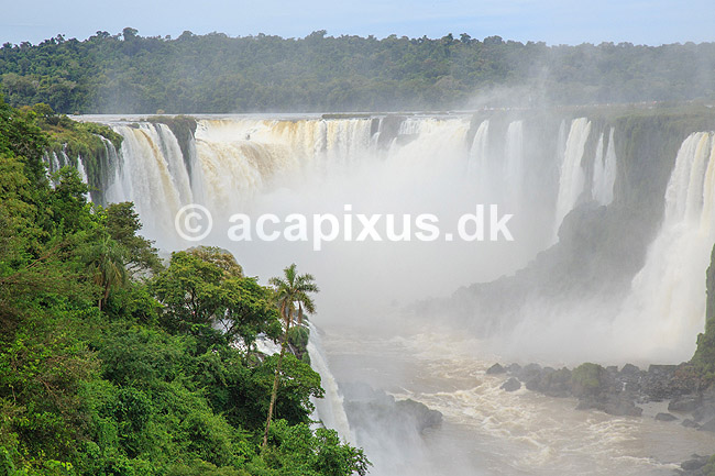 Iguazu vandfaldene. Iguazu vandfald med Garganta del Diablo bagerst set fra den Brasilianske side af vandfaldene; ; Iguazu; Brasilien; Sydamerika; ; Vandfald, The Iguazu Falls, Iguaz� Falls, Iguassu Falls, Igua�u Falls, Cataratas del Iguaz�, Cataratas do Igua�u 