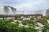 Iguazu vandfaldene. Turister ved Iguazu vandfaldene med Garganta del Diablo bagerst set fra den Brasilianske side af vandfaldene  Iguazu Brasilien Sydamerika  Vandfald, The Iguazu Falls, Iguaz� Falls, Iguassu Falls, Igua�u Falls, Cataratas del Iguaz�, Cataratas do Igua�u 