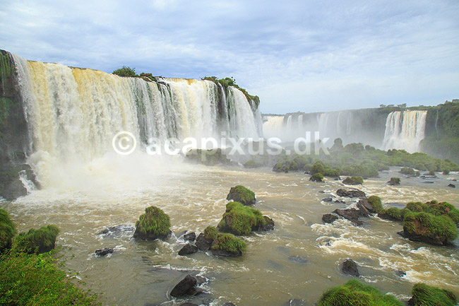 Iguazu vandfaldene. Iguazu vandfaldene med Garganta del Diablo bagerst set fra den Brasilianske side af vandfaldene; ; Iguazu; Brasilien; Sydamerika; ; Vandfald, The Iguazu Falls, Iguaz� Falls, Iguassu Falls, Igua�u Falls, Cataratas del Iguaz�, Cataratas do Igua�u 