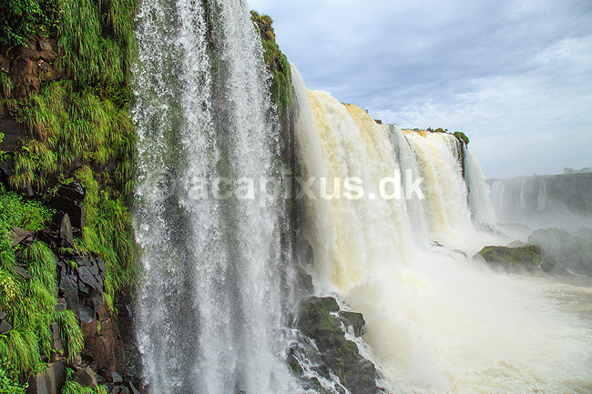 Iguazu vandfaldene. Iguazu vandfaldene set fra den Brasilianske side af vandfaldene; ; Iguazu; Brasilien; Sydamerika; ; Vandfald, The Iguazu Falls, Iguaz� Falls, Iguassu Falls, Igua�u Falls, Cataratas del Iguaz�, Cataratas do Igua�u 