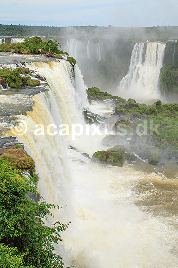 Iguazu vandfaldene. Iguazu vandfaldene set fra den Brasilianske side af vandfaldene; ; Iguazu; Brasilien; Sydamerika; ; Vandfald, The Iguazu Falls, Iguaz� Falls, Iguassu Falls, Igua�u Falls, Cataratas del Iguaz�, Cataratas do Igua�u 