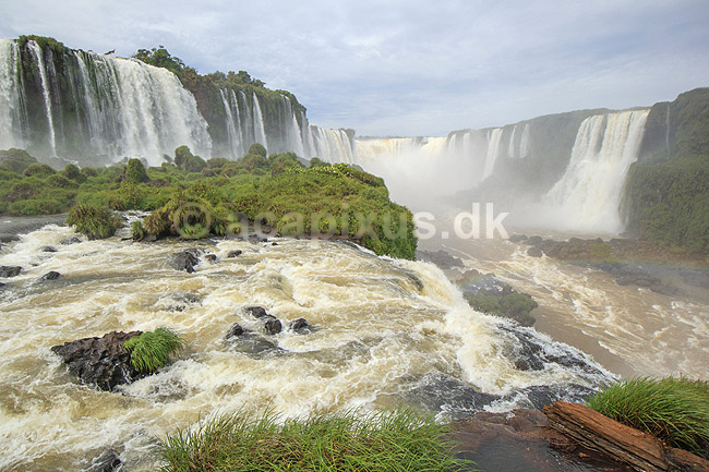 Iguazu vandfaldene. Iguazu vandfaldene med Garganta del Diablo bagerst set fra den Brasilianske side af vandfaldene; ; Iguazu; Brasilien; Sydamerika; ; Vandfald, The Iguazu Falls, Iguaz� Falls, Iguassu Falls, Igua�u Falls, Cataratas del Iguaz�, Cataratas do Igua�u 