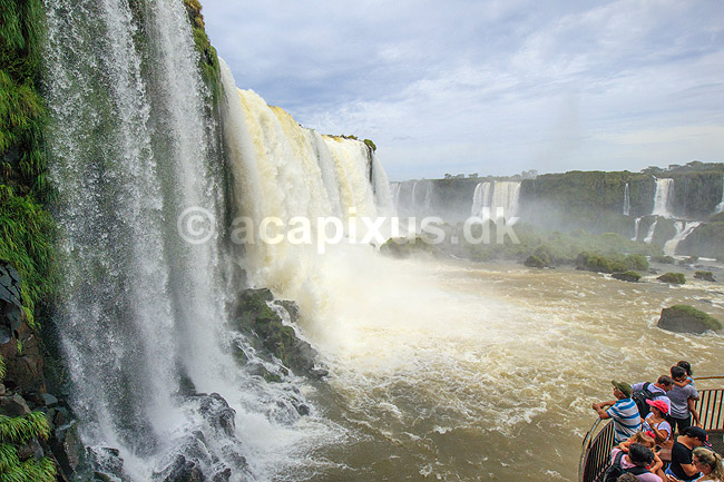 Iguazu vandfaldene. Turister beundrer Iguazu vandfaldene set fra den Brasilianske side af vandfaldene; ; Iguazu; Brasilien; Sydamerika; ; Vandfald, The Iguazu Falls, Iguaz� Falls, Iguassu Falls, Igua�u Falls, Cataratas del Iguaz�, Cataratas do Igua�u 