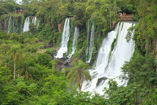 Iguazu vandfaldene. Klippeside overgroet med mos ved Iguazu vandfaldene - set fra den Argentinske side af vandfaldene; ; Iguazu; Argentina; Sydamerika; ; Vandfald, The Iguazu Falls, Iguaz� Falls, Iguassu Falls, Igua�u Falls, Cataratas del Iguaz�, Cataratas do Igua�u 