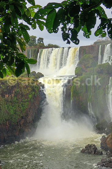 Iguazu vandfaldene. Salto san Martin ved Iguazu vandfaldene - set fra den Argentinske side af vandfaldene; ; Iguazu; Argentina; Sydamerika; ; Vandfald, The Iguazu Falls, Iguaz� Falls, Iguassu Falls, Igua�u Falls, Cataratas del Iguaz�, Cataratas do Igua�u 