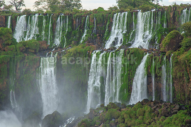 Iguazu vandfaldene. Iguazu vandfaldene fosser over mosbegroet klippeside - set fra den Argentinske side af vandfaldene - til h�jre Argentina til venstre Brasilien; ; Iguazu; Argentina; Sydamerika; ; Vandfald, The Iguazu Falls, Iguaz� Falls, Iguassu Falls, Igua�u Falls, Cataratas del Iguaz�, Cataratas do Igua�u 