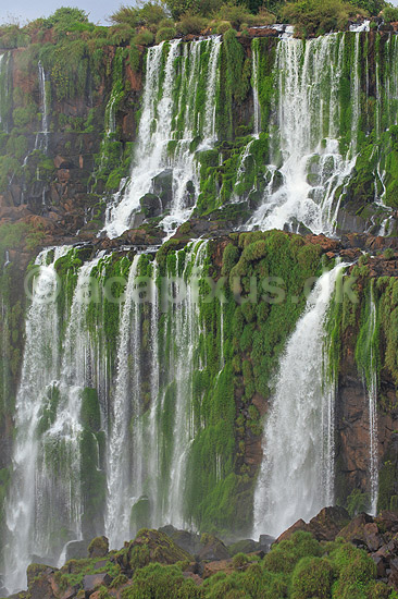 Iguazu vandfaldene. Iguazu vandfaldene fosser over mosbegroet klippeside - set fra den Argentinske side af vandfaldene - til h�jre Argentina til venstre Brasilien; ; Iguazu; Argentina; Sydamerika; ; Vandfald, The Iguazu Falls, Iguaz� Falls, Iguassu Falls, Igua�u Falls, Cataratas del Iguaz�, Cataratas do Igua�u 