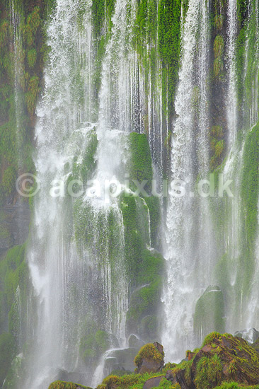 Iguazu vandfaldene. Iguazu vandfaldene fosser over mosbegroet klippeside - set fra den Argentinske side af vandfaldene - til h�jre Argentina til venstre Brasilien; ; Iguazu; Argentina; Sydamerika; ; Vandfald, The Iguazu Falls, Iguaz� Falls, Iguassu Falls, Igua�u Falls, Cataratas del Iguaz�, Cataratas do Igua�u 