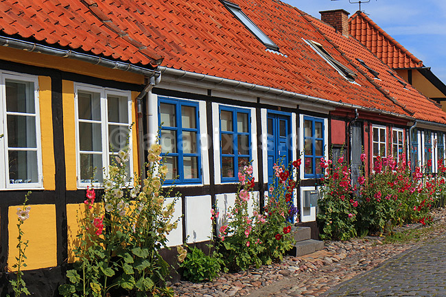 R�nne. Gamle bindingsv�rkshuse med stokroser i R�nne; ; R�nne / Bornholm; Danmark; ; ; 