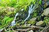 D�ndalsfaldet. Vandfald p�  D�ndale�en med mosbegroede tr�stammer i D�ndalen. Danmarks st�rste vandfald p� ca 20 meter  D�ndalen / Bornholm Danmark   vandl�b, �er, spr�kkedale, Natura 2000