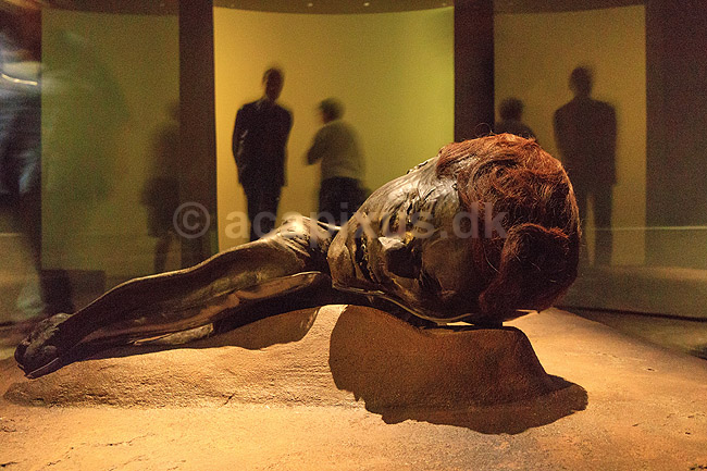 Grauballemanden. Grauballe manden, mosefund fra Nebel udstillet p� Moesg�rd Museeum; ; Moesg�rd Museum / �rhus; Danmark; ; Sev�rdigheder; R�de Kristian, moselig, museer, Grauballemand