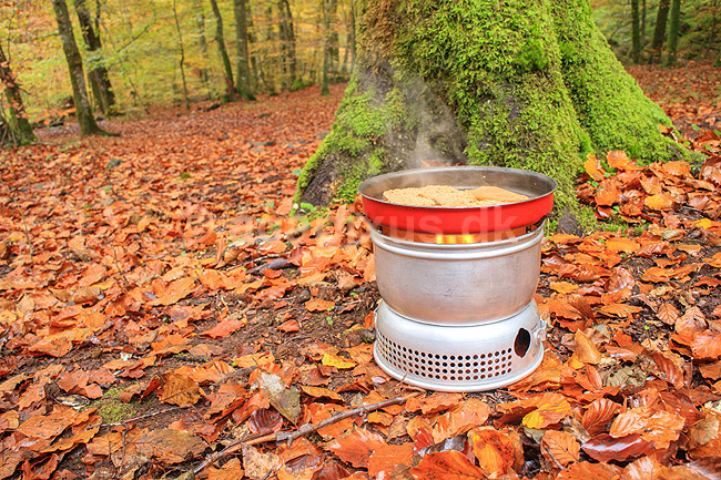 Stegning af torskerogn. Frokosten steges p� Trangia koges�t i naturen. Vandretur p� S�der�sen; ; Nationalpark S�der�sen; Sverige; ; ; Efter�r, l�vfald, tr�er, skove, spritkoger, madlavning, frokost, skovbund, efter�r, l�vfald, efter�rsblade