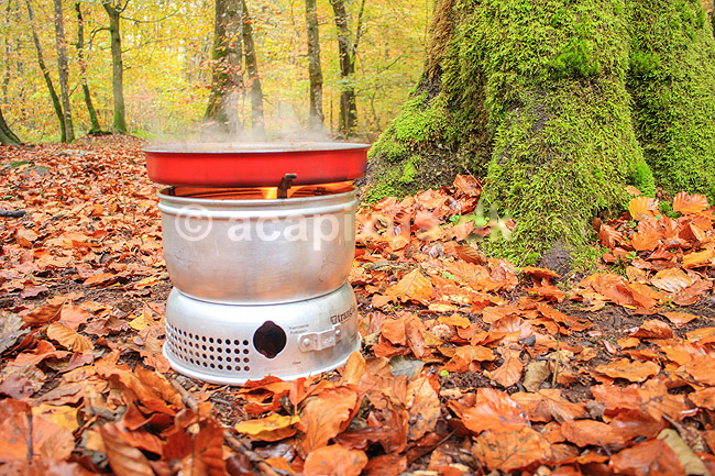Stegning af torskerogn. Frokosten steges p� Trangia koges�t i naturen. Vandretur p� S�der�sen; ; Nationalpark S�der�sen; Sverige; ; ; Efter�r, l�vfald, tr�er, skove, spritkoger, madlavning, frokost, skovbund, efter�r, l�vfald, efter�rsblade