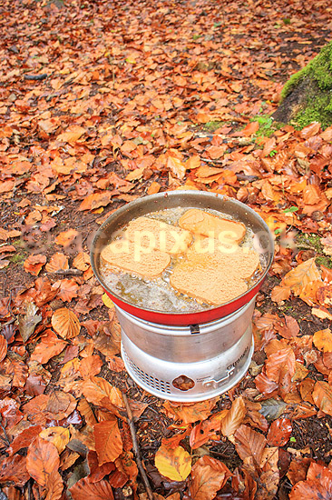 Stegning af torskerogn. Frokosten steges p� Trangia koges�t i naturen. Vandretur p� S�der�sen; ; Nationalpark S�der�sen; Sverige; ; ; Efter�r, l�vfald, tr�er, skove, spritkoger, madlavning, frokost, skovbund, efter�r, l�vfald, efter�rsblade