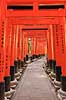 Fushimi-Inari Taisha Shrine. Tunnel af torii ved det shintoistiske Fushimi-Inari Taisha Shrine  Fushimi-Inari Taisha Shrine / Kyoto Japan Asien  templer shintoisme orange