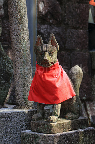 Fushimi-Inari Taisha Shrine. Statue af r�v ved det shintoistiske Fushimi-Inari Taisha Shrine; ; Fushimi-Inari Taisha Shrine / Kyoto; Japan; Asien; ; templer shintoisme orange