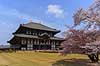 Todai-ji Nara. Todai-ji templet i Nara - verdens st�rste tr�bygning  Todai-ji / Nara Japan Asien  templer buddisme buddhism buddistisk, Todaiji