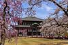 Todai-ji Nara. Todai-ji templet i Nara - verdens st�rste tr�bygning  Todai-ji / Nara Japan Asien  templer buddisme buddhism buddistisk, Todaiji