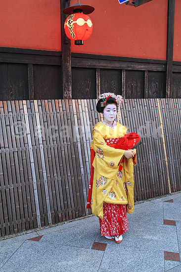 Geisha. Geisha i Gion district i Kyoto; ; Gion / Kyoto; Japan; Asien; ; Maiko