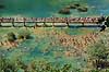 Krka National Park. Badende ved vandfald i Krka National Park  Krka National Park Kroatien   Nationalparker, badning, vand, turisme, sighseeing, ferie, sommer