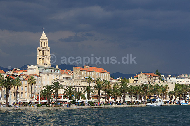Split. Palmer langs havnepromendaen, Obala Hrvatskog narodnog preporoda, i Split; ; Split; Kroatien; ; ; Havn, havne, skyer, overskyet, turistm�l