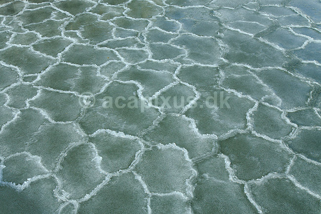 Isskosser. Isskosser er frosset sammen til m�nster i vikingeskibshavnen i Roskilde; ; Roskilde; Danmark; ; ; Vinter, frost, is, kulde, isbryder, m�nstre, havis