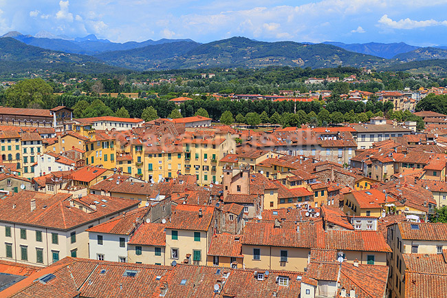 Lucca. Lucca set fra Torre Guinigi med Piazza Anfiteatro, plads bygget omkring tidligere romersk amfiteater - Anfiteatro Romano - i Lucca; ; Lucca / Toscana; Italien; ; ; Toscany, toscansk, turisme, sightseeing