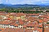 Lucca. Lucca set fra Torre Guinigi med Piazza Anfiteatro, plads bygget omkring tidligere romersk amfiteater - Anfiteatro Romano - i Lucca  Lucca / Toscana Italien   Toscany, toscansk, turisme, sightseeing