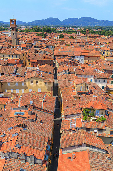Lucca. Hustage og gader i Lucca set fra Torre Guinigi; ; Lucca / Toscana; Italien; ; ; Toscany, toscansk, turisme, sightseeing