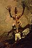 Hulbj�rn. Skelet af hulebj�rn fundet og udstillet i Grotta del Vento nord for Pisa  Grotta del Vento / Toscana Italien   Toscany, toscansk, turisme, sightseeing